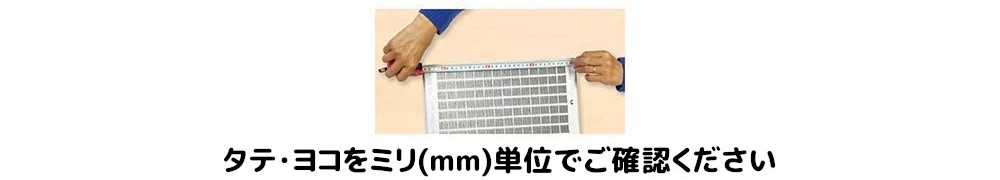 サイズを測る